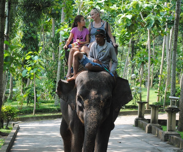 Bali Elephant Ride Tour | Bali ATV and Elephant Ride Tour Packages | Bali Traventure