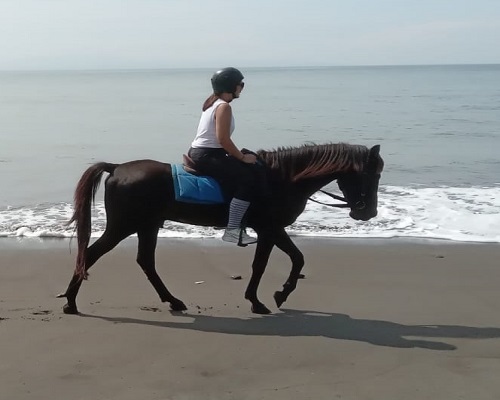Bali Horse Riding and Spa Packages Tour
