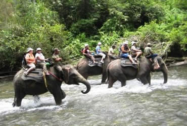 Bali Elephant Ride and Kintamani Tour