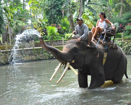 Bali Elephant Ride and Tanah Lot Tour