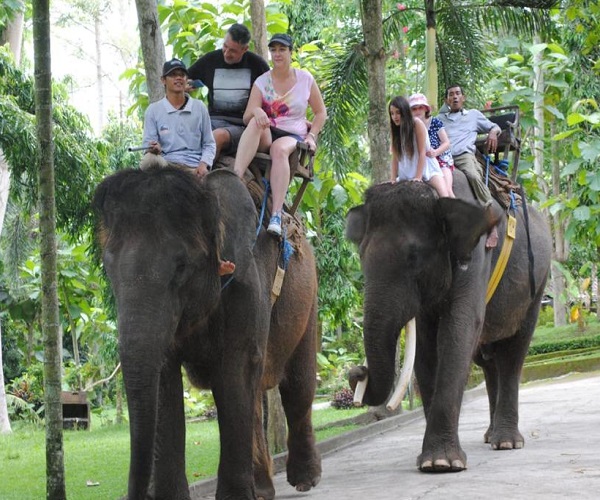 Bali Elephant Ride and Uluwatu Tour