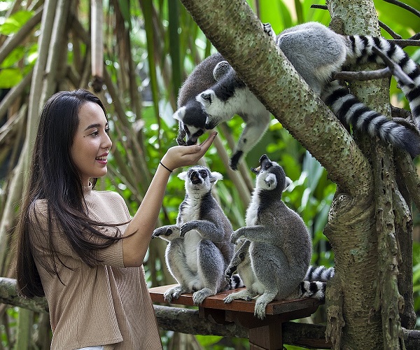 Bali Zoo Park and Ubud Tour