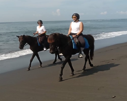 Bali Horse Riding and ATV Ride Tour