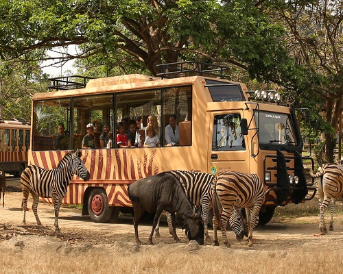 Bali Safari Park and Tanah Lot Tour