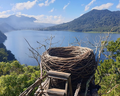 Bali North West Tour | Wanagiri Hidden Hill | Bali Traventure