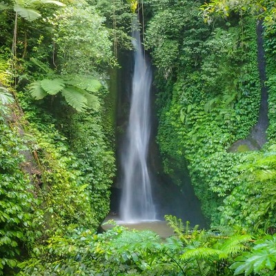 Bali North Waterfall Tour
