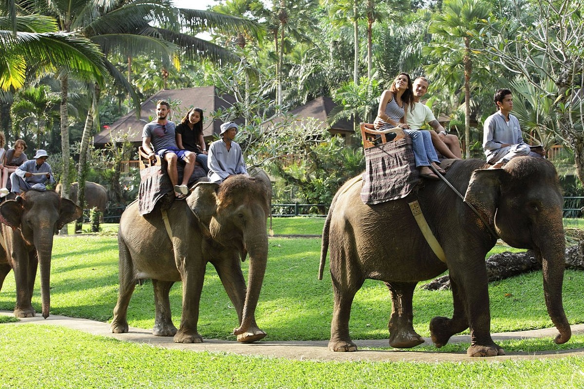 BALI ELEPHANT RIDE TOUR