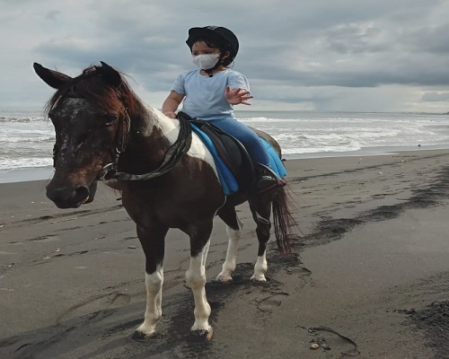 Bali Horse Riding Tour