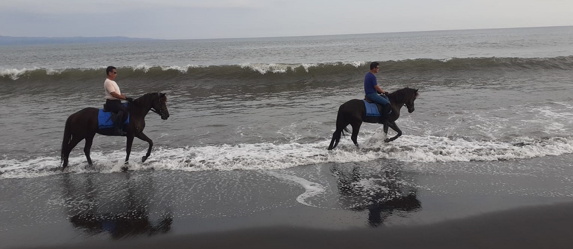 Bali Horse Riding Tour