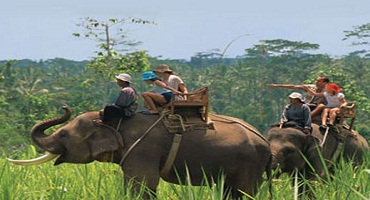 BALI ELEPHANT RIDE AND UBUD TOUR