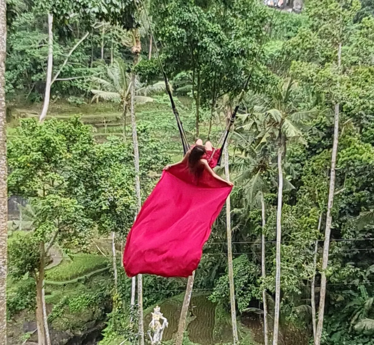 BALI SWING AND UBUD TOUR