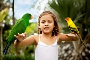 BALI ZOO PARK AND UBUD TOUR