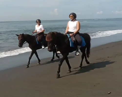 BALI HORSE RIDING AND ATV RIDE TOUR