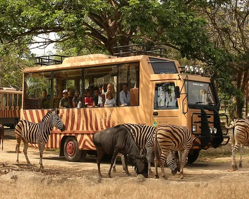 BALI SAFARI PARK AND UBUD TOUR