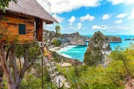 TREE HOUSE NUSA PENIDA