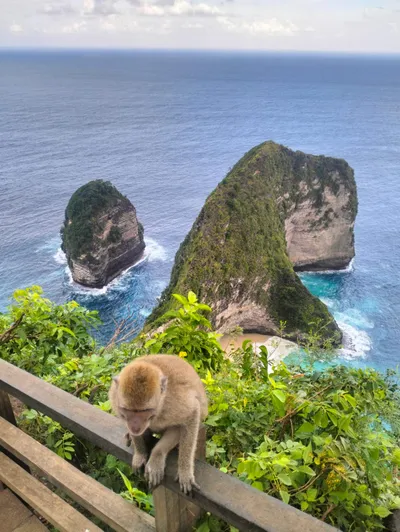 KELINGKING BEACH NUSA PENIDA
