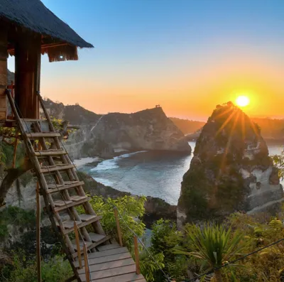 TREE HOUSE NUSA PENIDA