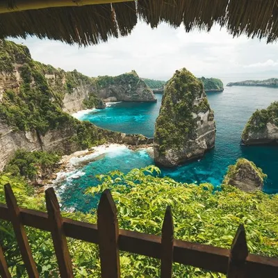TREE HOUSE NUSA PENIDA