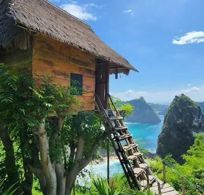 TREE HOUSE NUSA PENIDA