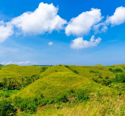 TELETUBBIES HILL NUSA PENIDA