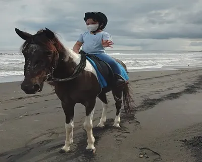 Bali Horse Riding Tour