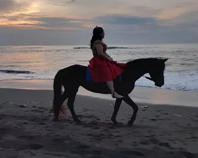 Bali Horse Riding Tour