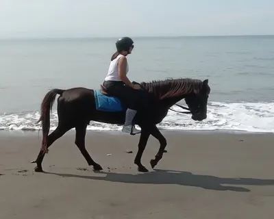 Bali Horse Riding Tour